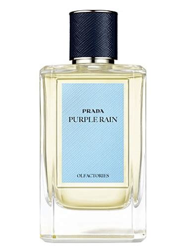 purple rain Prada perfume